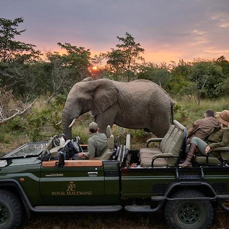 Royal Malewane Βίλα Καταφύγιο Άγριας Ζωής Thornybush Εξωτερικό φωτογραφία