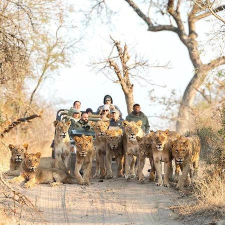 Royal Malewane Βίλα Καταφύγιο Άγριας Ζωής Thornybush Εξωτερικό φωτογραφία