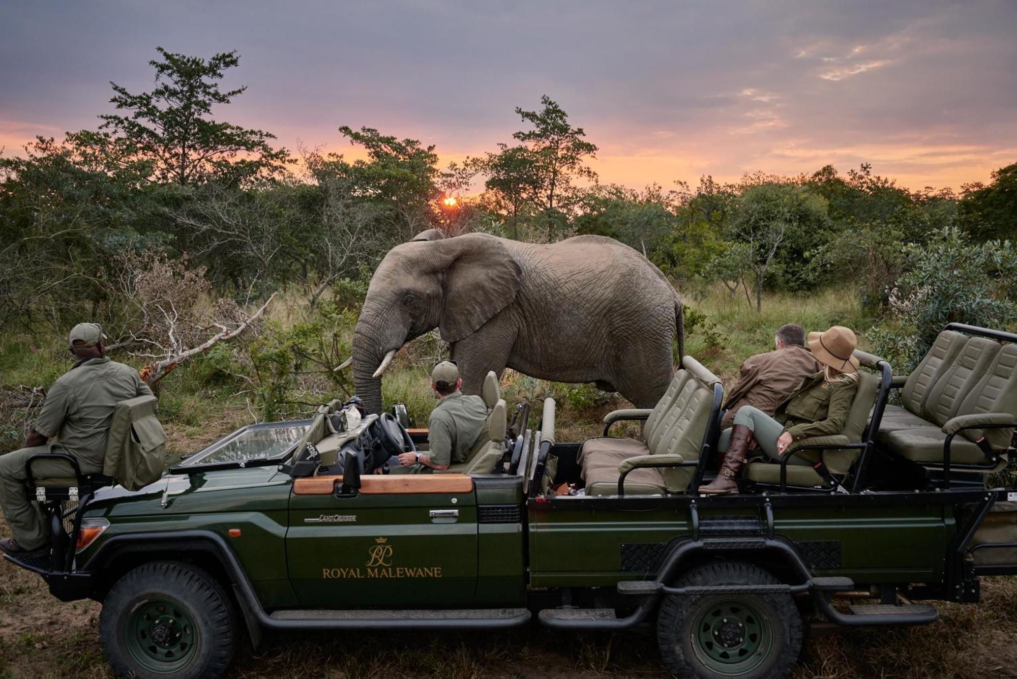 Royal Malewane Βίλα Καταφύγιο Άγριας Ζωής Thornybush Εξωτερικό φωτογραφία