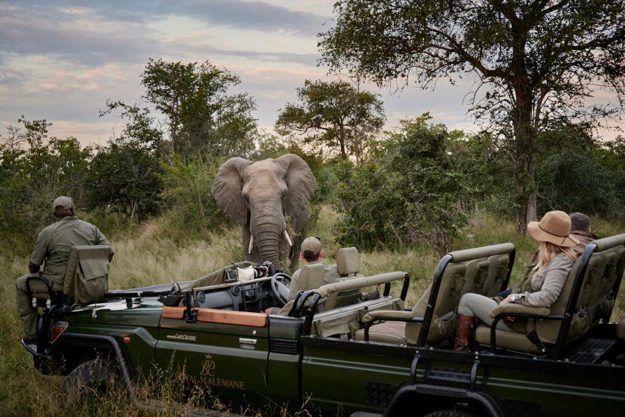 Royal Malewane Βίλα Καταφύγιο Άγριας Ζωής Thornybush Εξωτερικό φωτογραφία